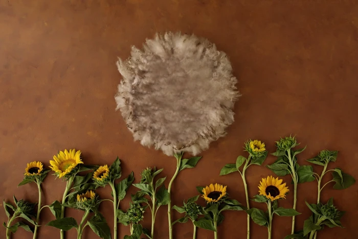 flower backdrop newborn prop for photography 2k