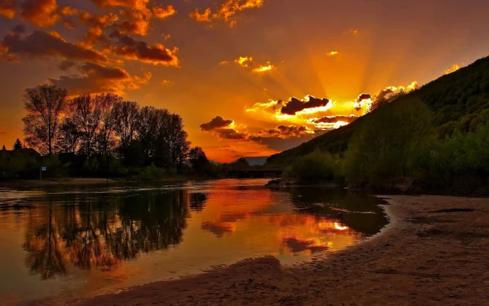 green leaf trees sunset nature sunlight water landscape 2k