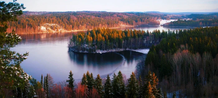 green leafed tree body of water surrounded by tall fall 2k