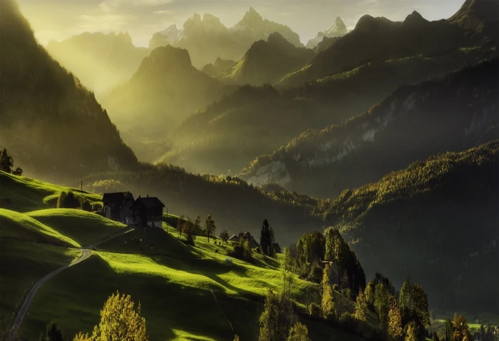 green mountain with trees Switzerland mountains mist forest 2k
