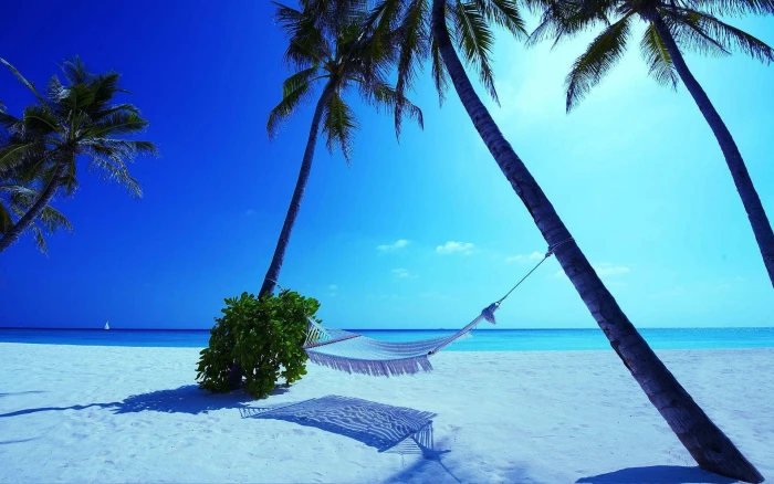 Hammock Maldives Beach white hammock nature 2k