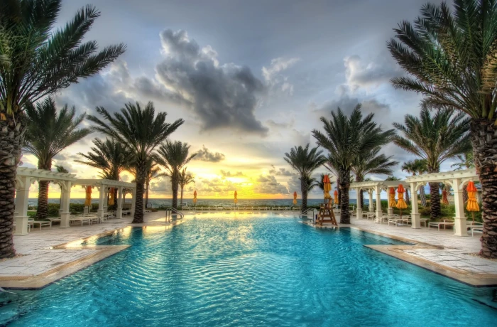 in ground pool between palm trees during daytime swimming 2k