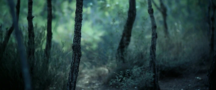 landscape ultrawide photography nature 2k