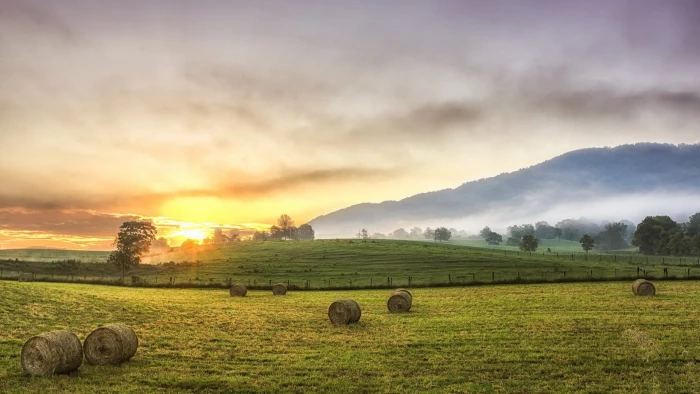 nature hd for pc download 2k