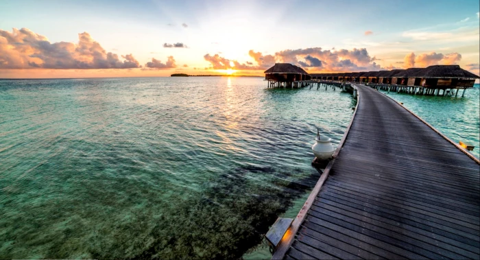 natural pubic hair scenery from behind 2k