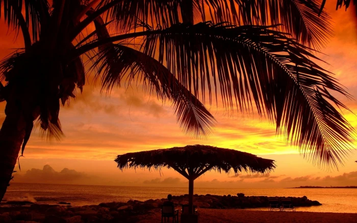 nature landscape sunset umbrella beach palm trees sea 2k