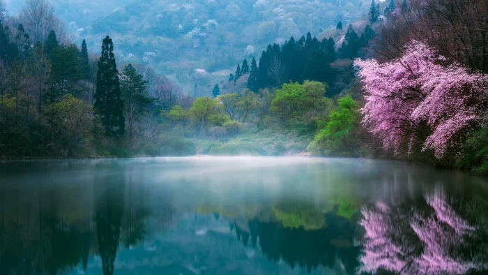 nature water reflection spring wilderness mount scenery 2k