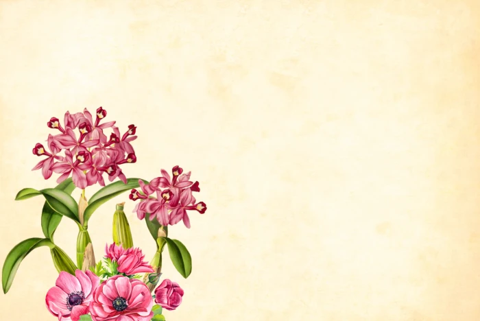 Pink and green flower plants over light cream colored background 2k