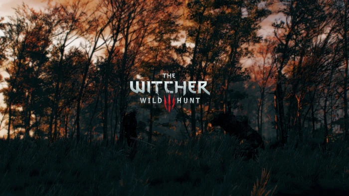 The Witcher Wild Hunt game cover 3 tree 2k