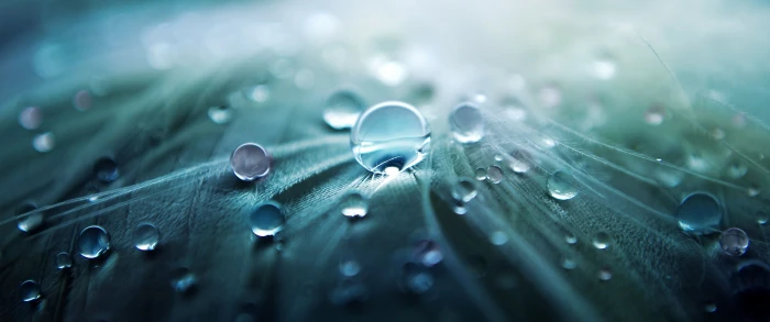 water dew digital wallpaper photography of drops on green surface 2k