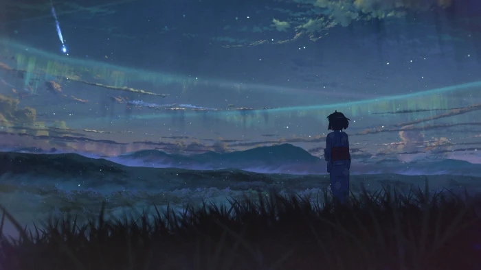 woman standing on grass field illustration Makoto Shinkai Kimi no Na Wa 2k 4k