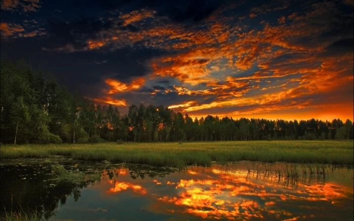 beautiful sceneries of nature hd 2k