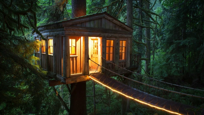 brown wooden treehouse turn on light of house tree 2k