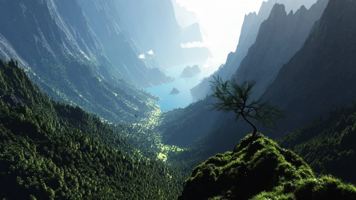 green tree artwork digital art trees forest mountains canyon 2k