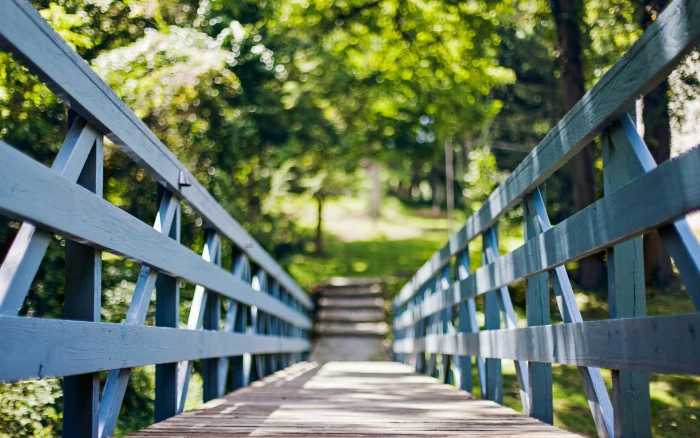 Nature bridge sun grey metal tree trees background 2k