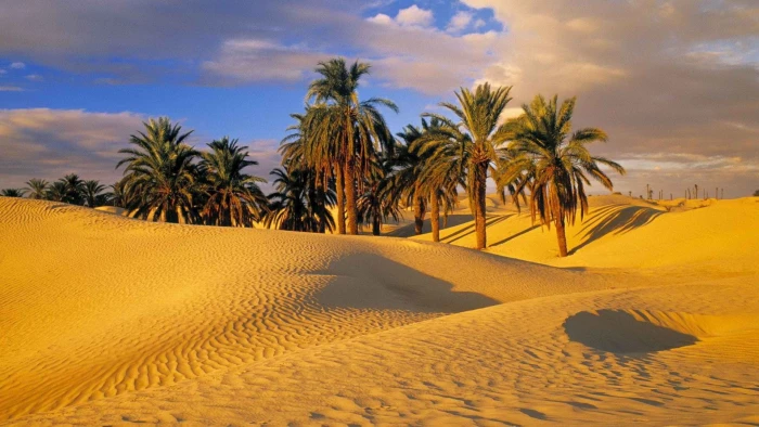 nature dune sand soil desert landscape sky travel sun 2k