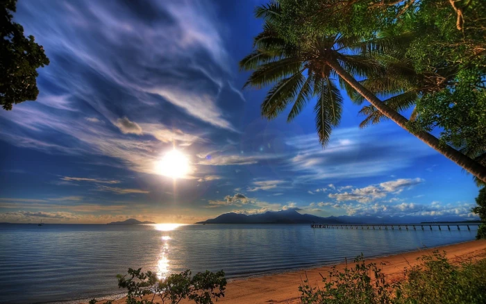 ocean photo beach palm trees nature pier sky water beauty in 2k