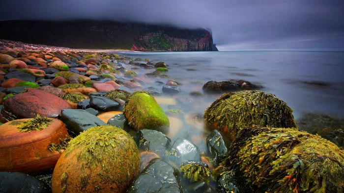 seashore with red and green stones landscape Scotland beach 2k