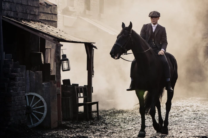 TV Show Peaky Blinders Horse domestic animals livestock 2k