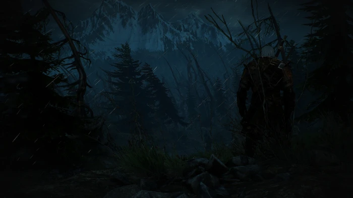 white and black floral textile The Witcher 3 Wild Hunt Skellige 2k