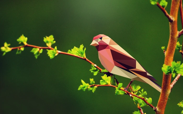 geometric figures geometry polygon art low poly birds nature 2k