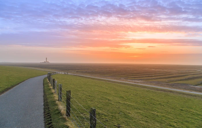 gray concrete road at the middle of green grass field during golden hour 2k