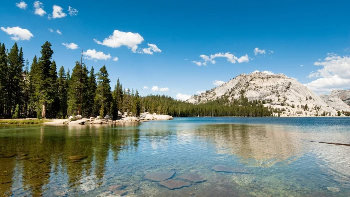 green trees with body of water landscape nature lake hills 2k