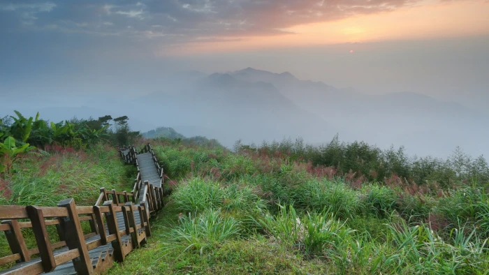 hd images nature pc plant beauty in scenics 2k