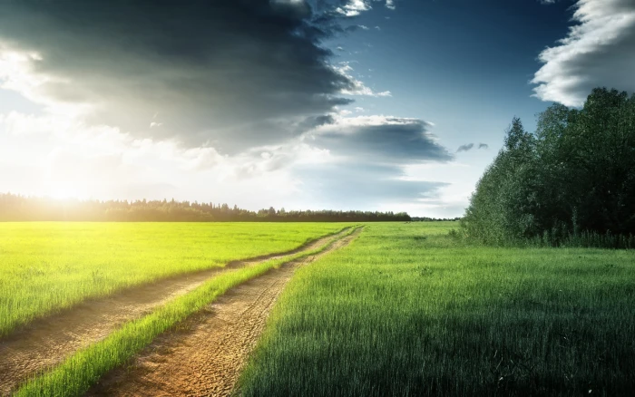 Nature scenery fields grass trees clouds road brown soil 2k