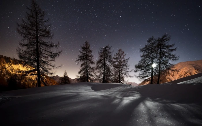 Night winter snow mountains trees stars nature landscape 2k