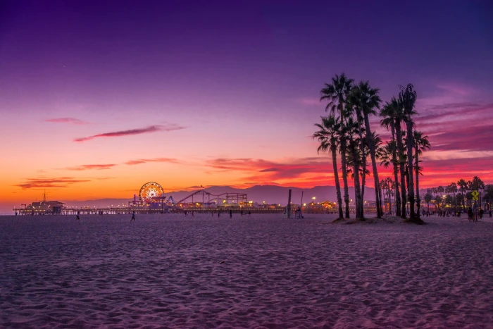 palm tree beach trees the ocean CA USA Los Angeles 2k