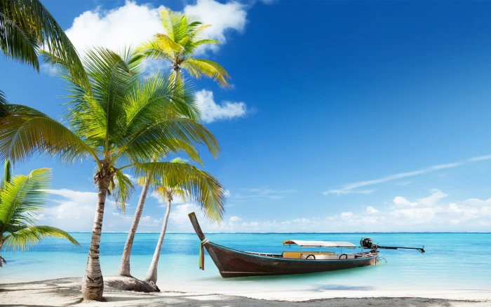 Palm trees boat tropical sea beach sand clouds 2k