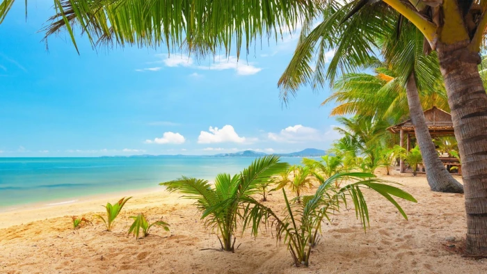 sea cameroun kribi coco beach blue sky water coast 2k