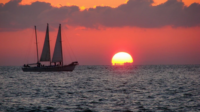 sun nature sunset star celestial body sunrise sky silhouette 2k