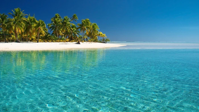 Tropical White Beach amp; Crystal Clear Water blue sea; white sand; green coconut tree 2k