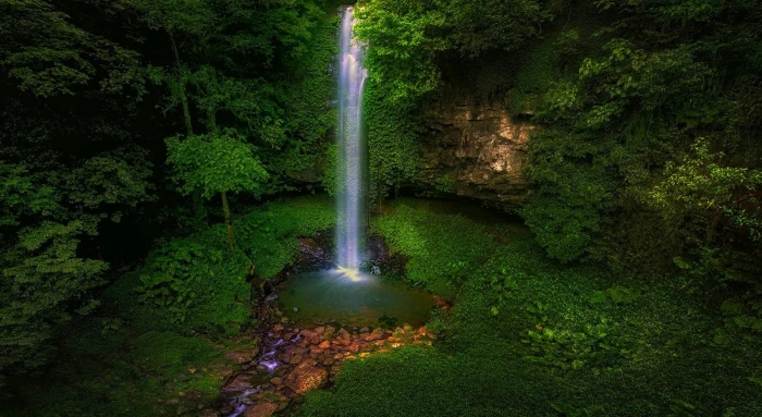 waterfalls and green leaf trees Australia forest nature landscape 2k