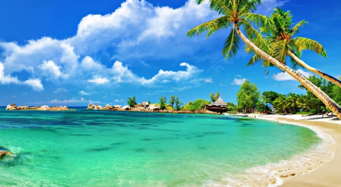 Awesome Tropical Beach HD Wallpaper seashore Seasons Summer 2k