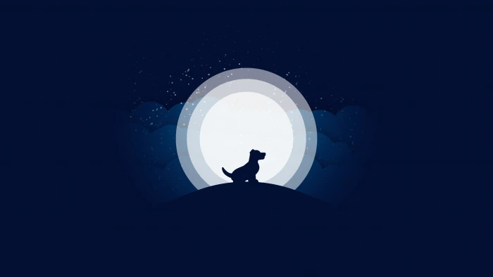 dog minimalism artist hd artwork moon 2k 4k 5k 8k 10k