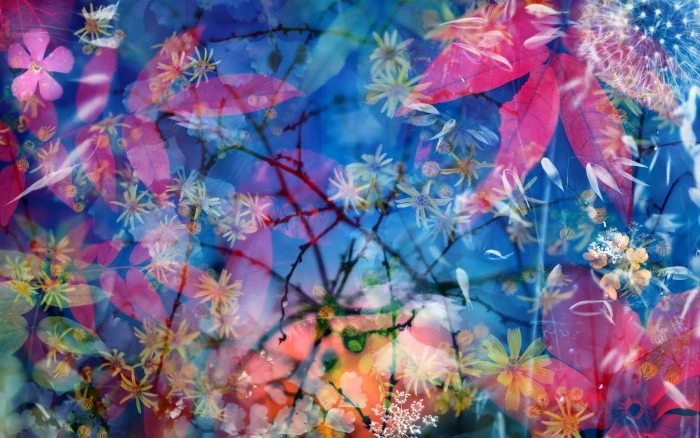 Flowers red leaves blue background beautiful scenery 2k