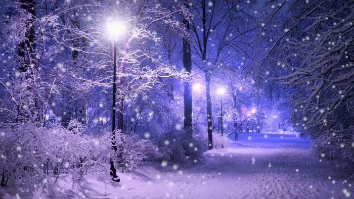 street light snow snowing winter park nature freezing 2k