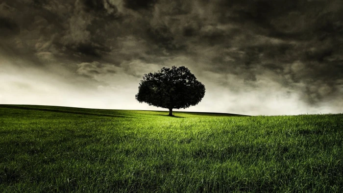 technics field landscape grass rural meadow sky summer 2k