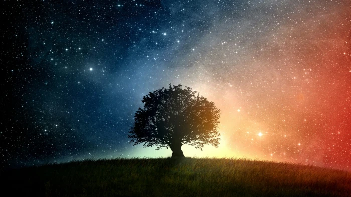 universe grass starry stars field astronomy landscape 2k