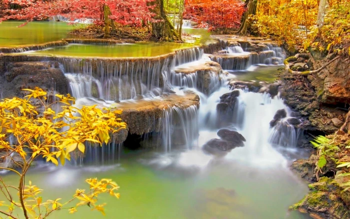 clear waterfalls landscape nature colorful trees roots tropical 2k
