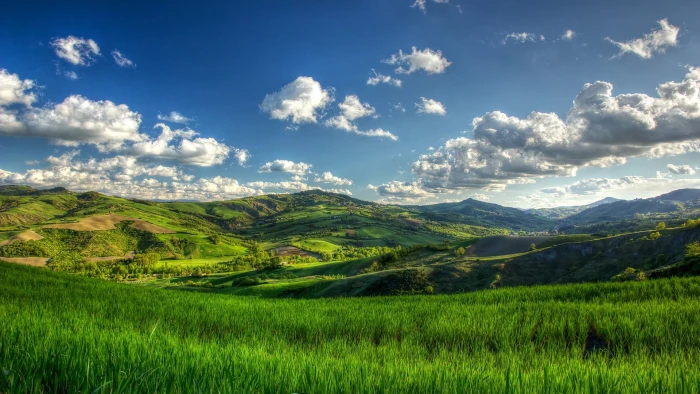 mountain illustration nature landscape trees clouds hills 2k