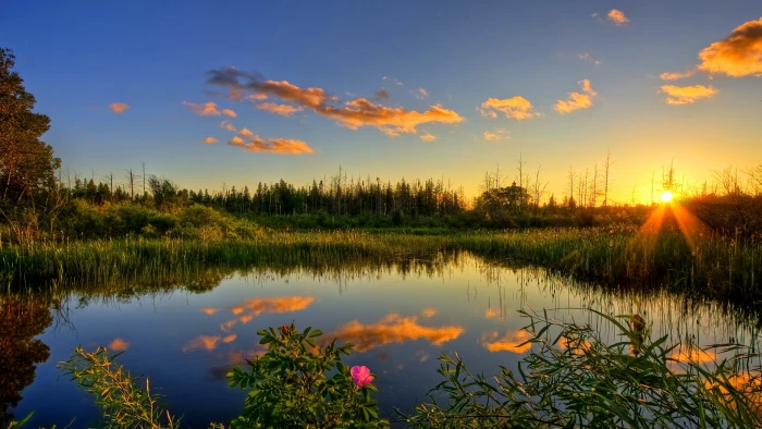 nature landscape sky tree summer grass season clouds 2k