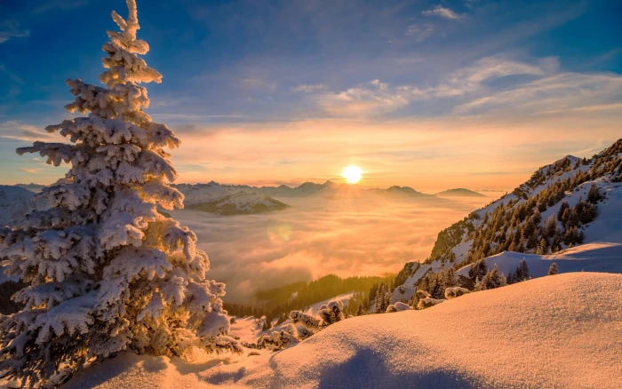 nature Sun winter pine trees snow mountains mist sunrise 2k