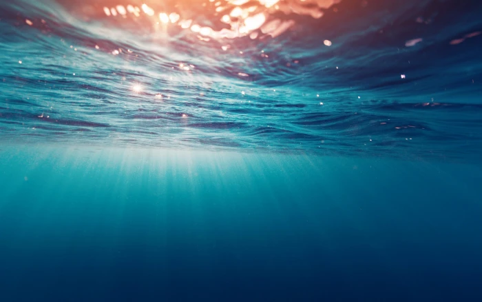 sea underwater sunlight sun rays nature 2k