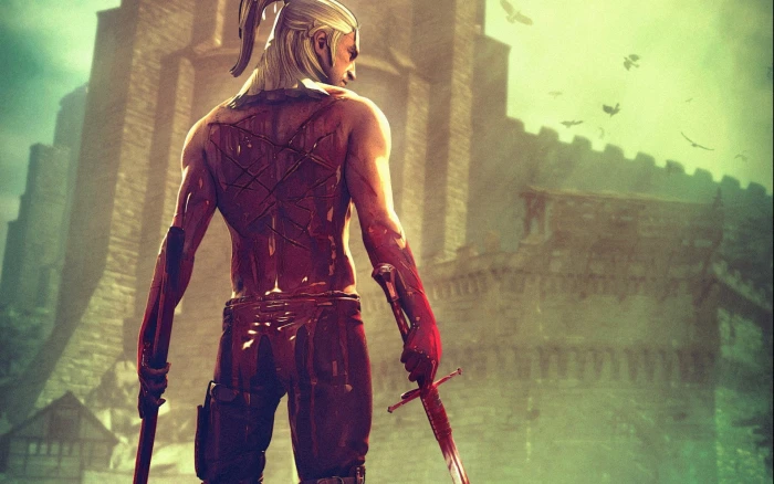 The Witcher 2k