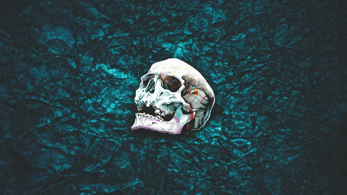 white skull painting pattern abstract simple background day 2k