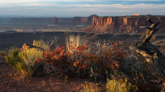 Canyonlands